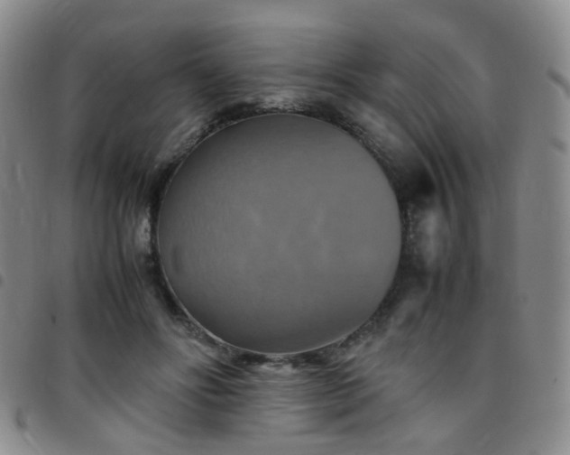 X0000097780502200803141811