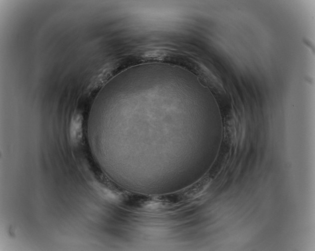 X0000097780504200803141811