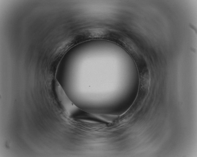 X0000097780505200803141811