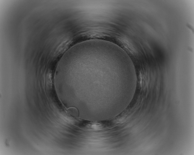 X0000097780506200803141811