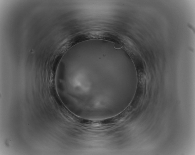 X0000097780507200803141811