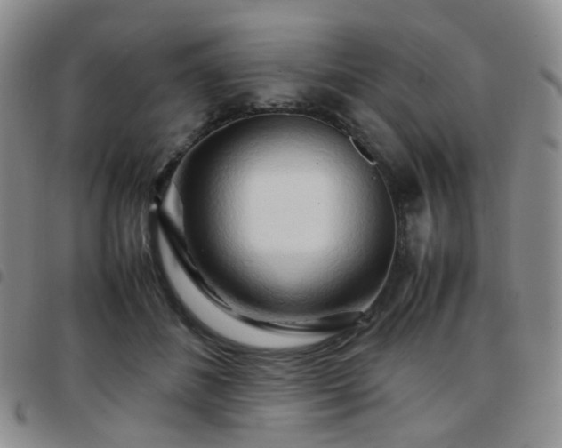 X0000097780508200803141811