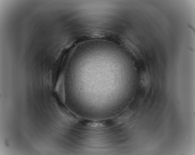 X0000097780512200803141811