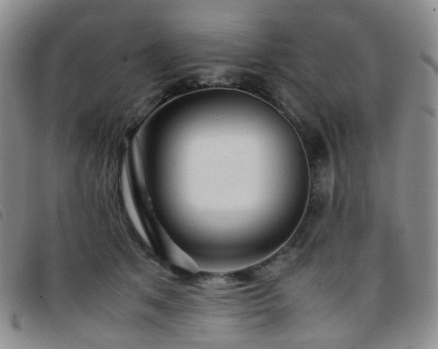 X0000097780513200803141811