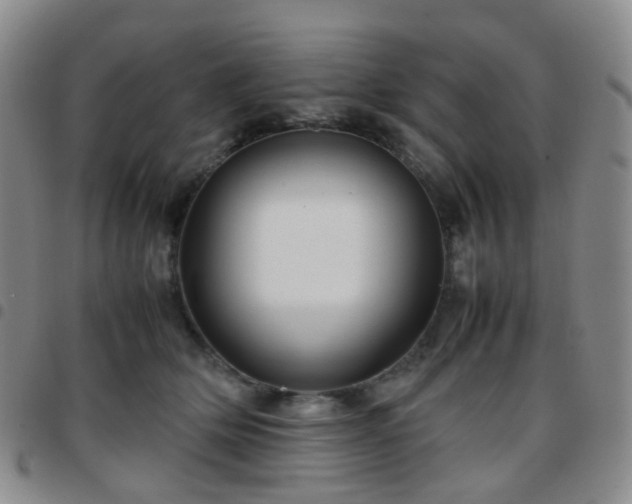 X0000097780514200803141811