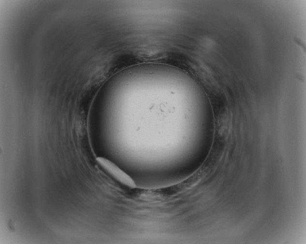 X0000097780515200803141810