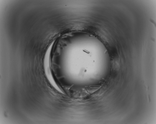 X0000097780517200803141810