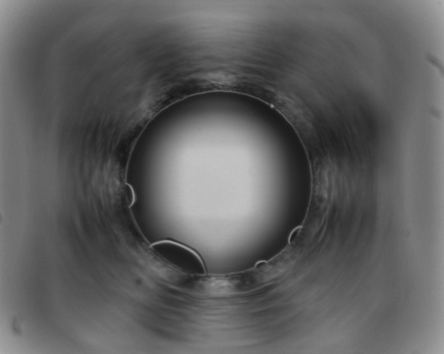 X0000097780518200803141810