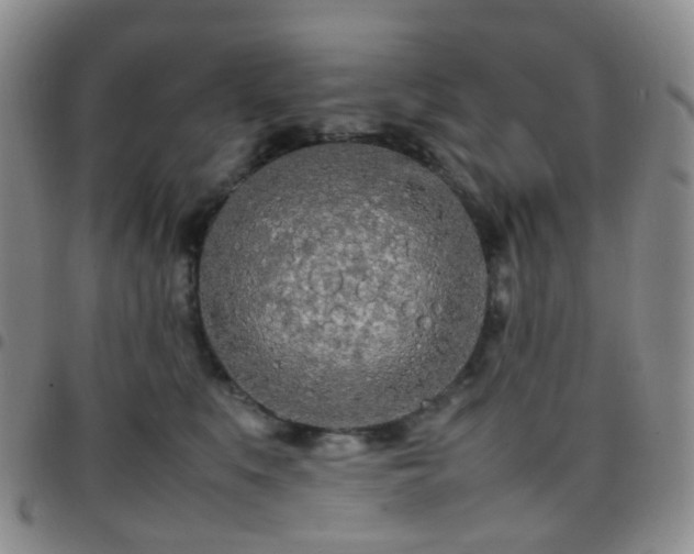 X0000097780519200803141810