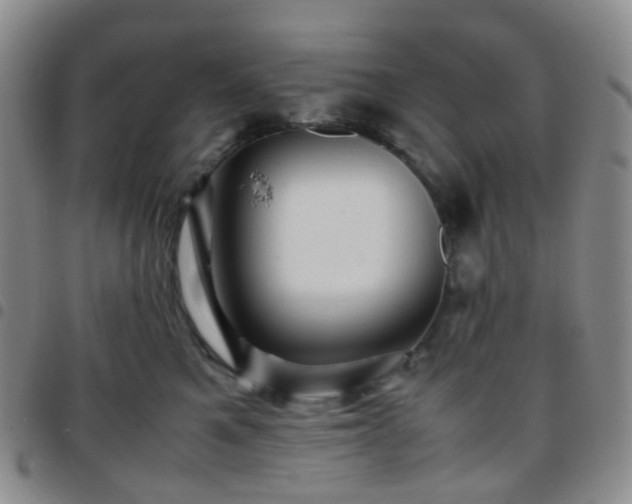 X0000097780521200803141810