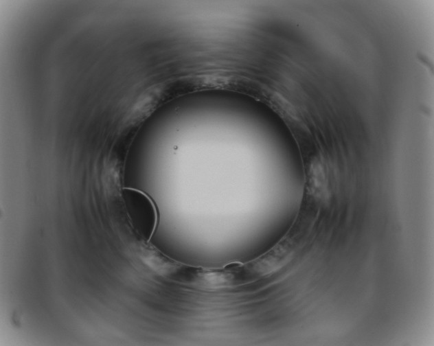 X0000097780522200803141810