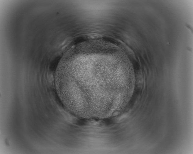 X0000097780523200803141810