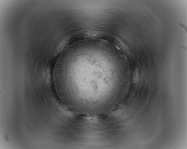 X0000097780524200803141810