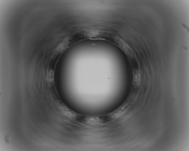 X0000097780525200803141810