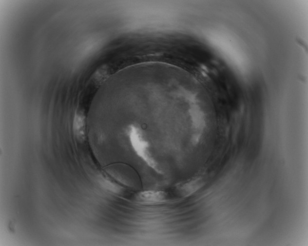 X0000097780526200803141810