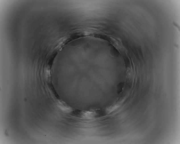 X0000097780527200803141810