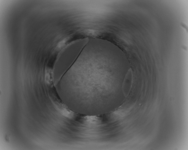 X0000097780528200803141810