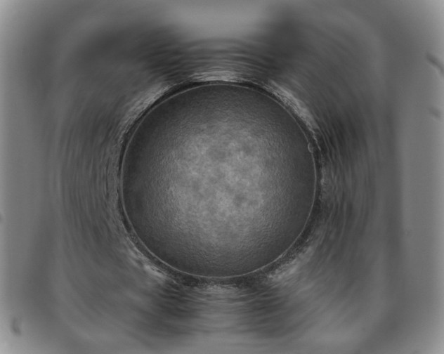 X0000097780529200803141810