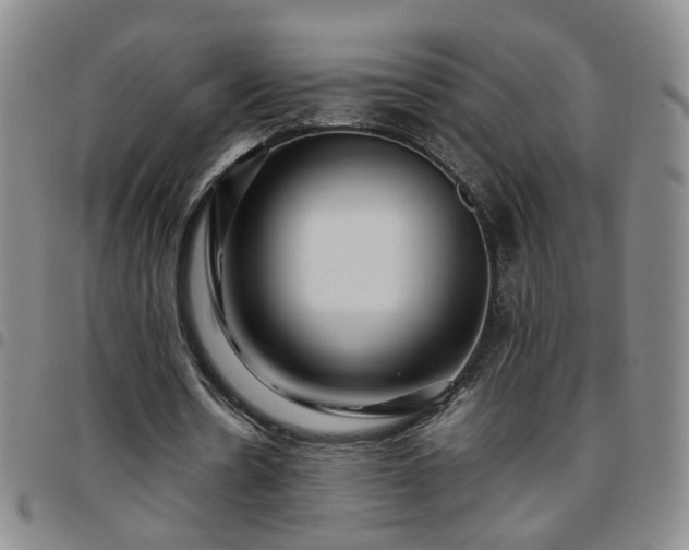 X0000097780530200803141810