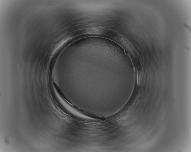 X0000097780531200803141810