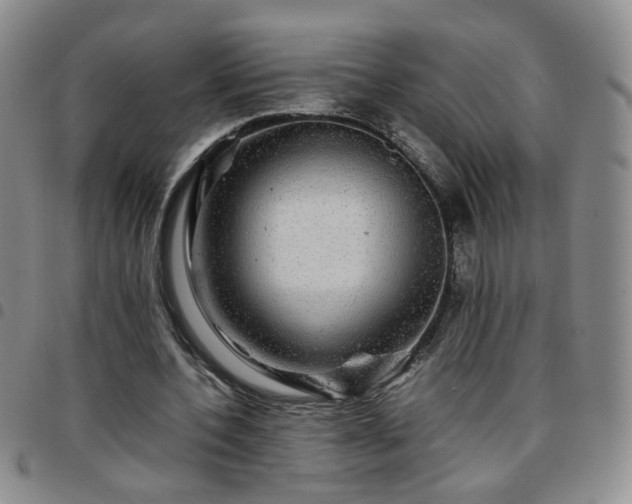 X0000097780532200803141810