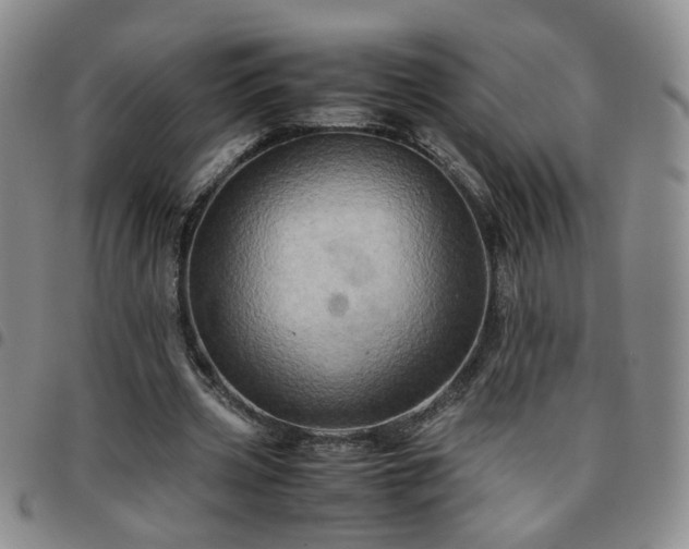 X0000097780533200803141810