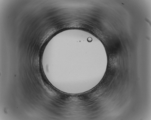 X0000097780534200803141810