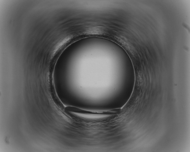 X0000097780535200803141810