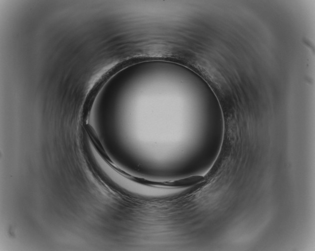 X0000097780536200803141810