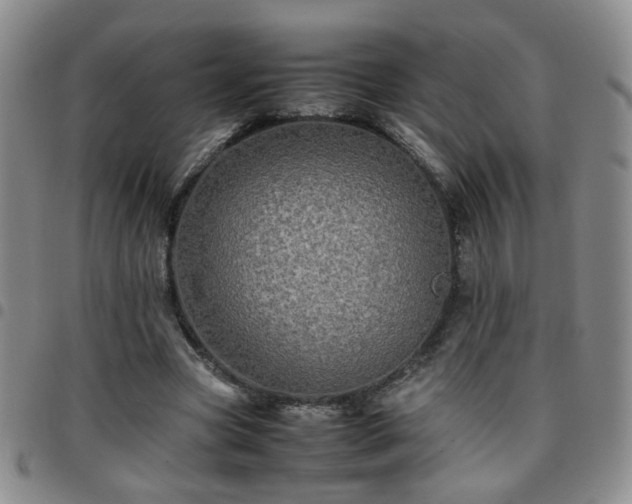 X0000097780537200803141810