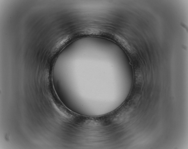 X0000097780538200803141810