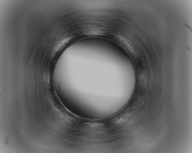 X0000097780539200803141810