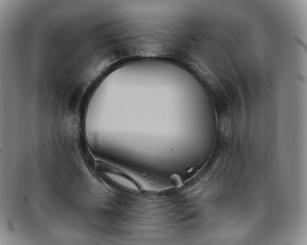 X0000097780540200803141810