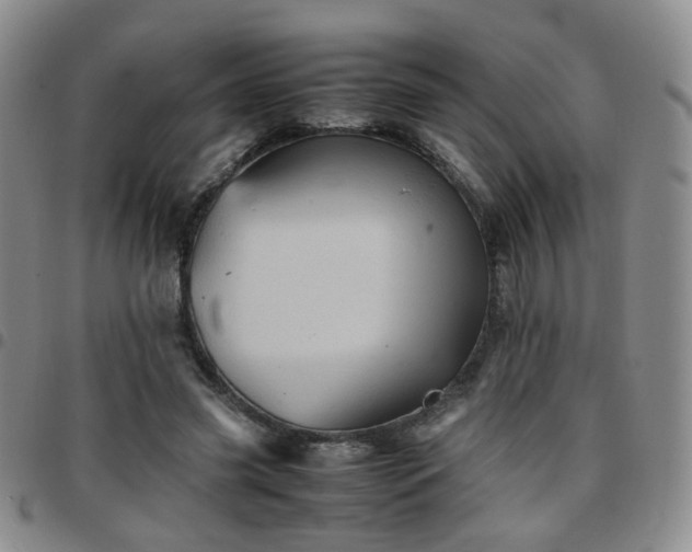 X0000097780541200803141810