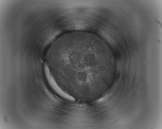 X0000097780542200803141810