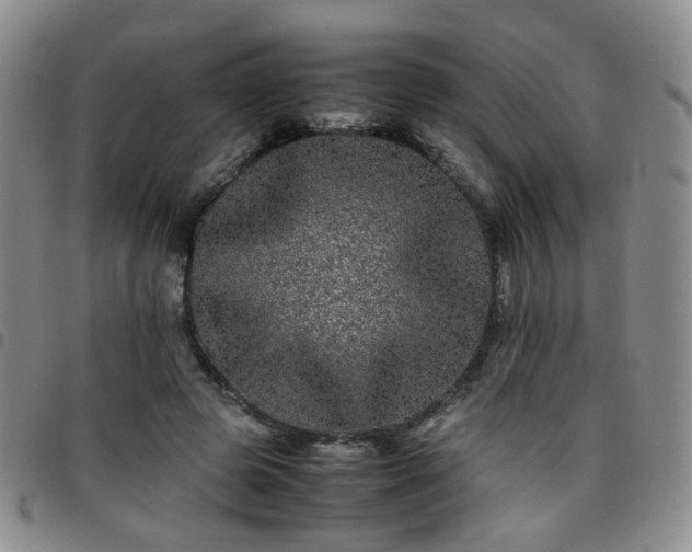 X0000097780545200803141810