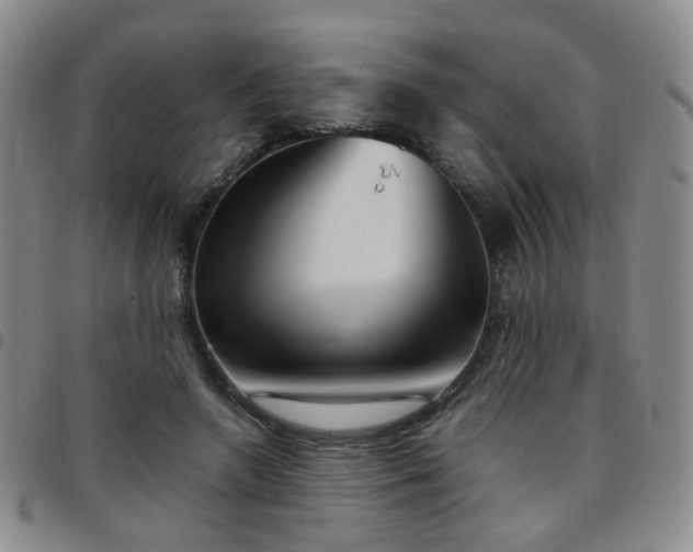 X0000097780546200803141810