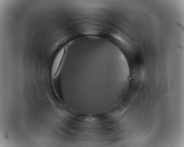 X0000097780547200803141810