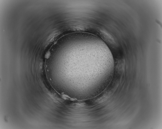 X0000097780548200803141810