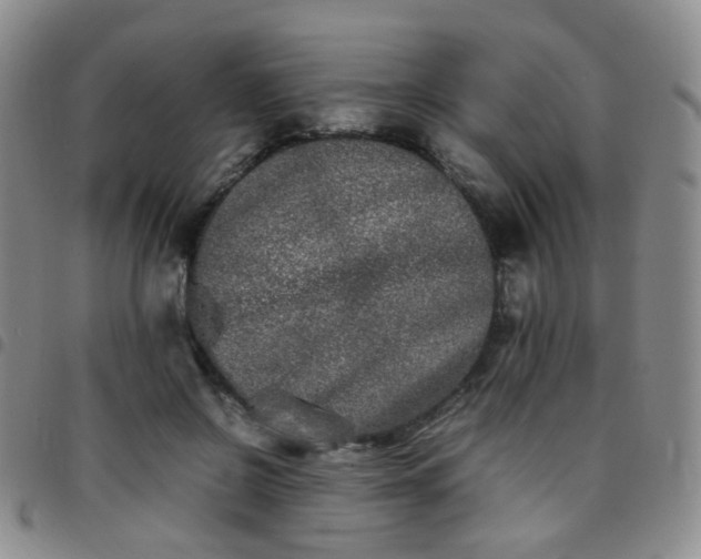 X0000097780550200803141810