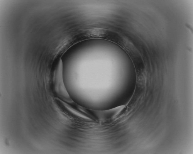 X0000097780552200803141810