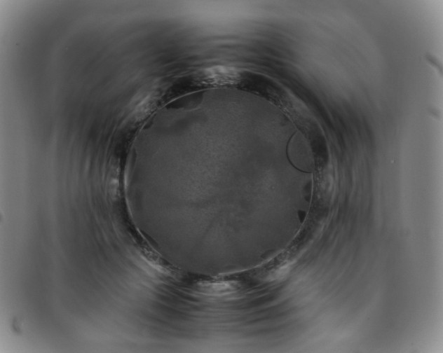 X0000097780553200803141810