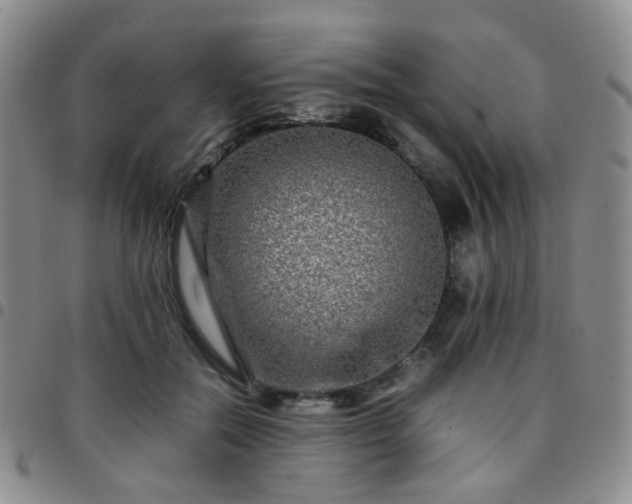 X0000097780554200803141810