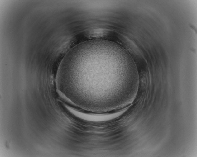 X0000097780555200803141810