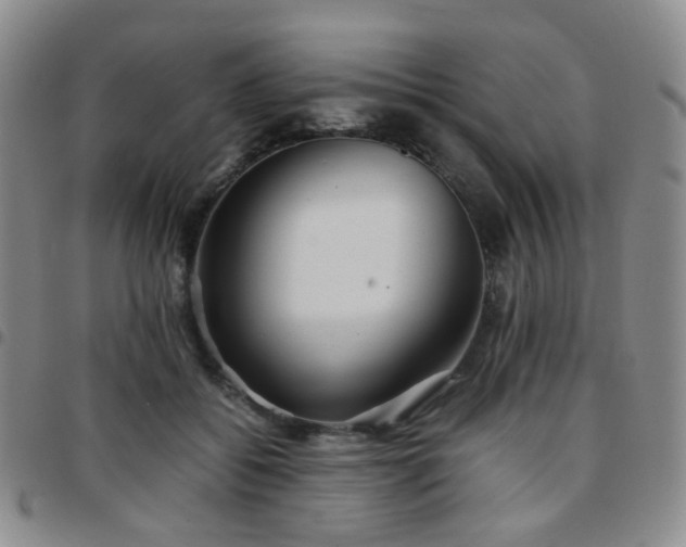 X0000097780556200803141810