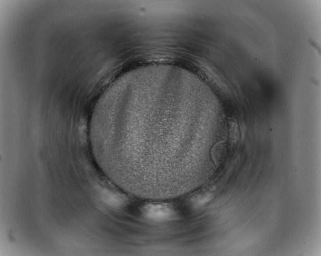 X0000097780557200803141810