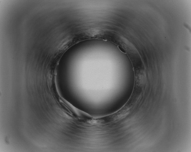 X0000097780558200803141810