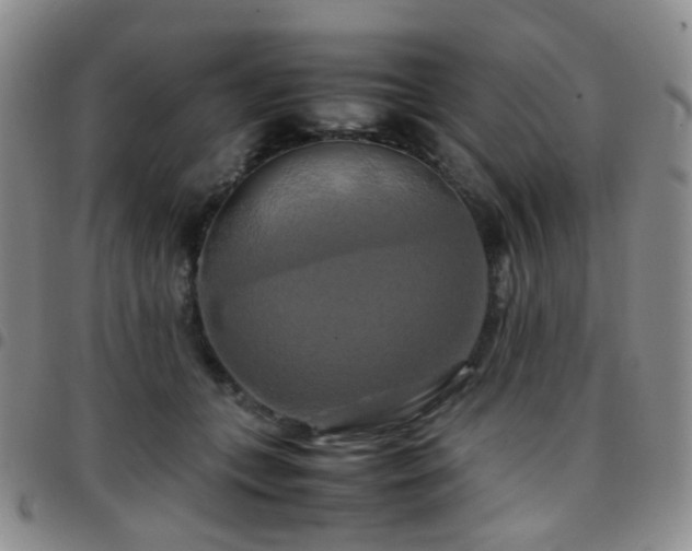 X0000097780559200803141810