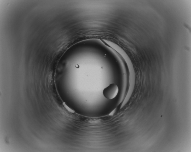 X0000097780560200803141810