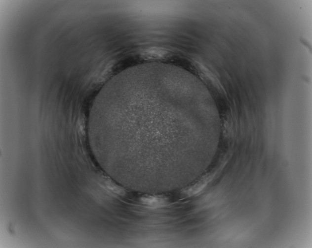 X0000097780561200803141810